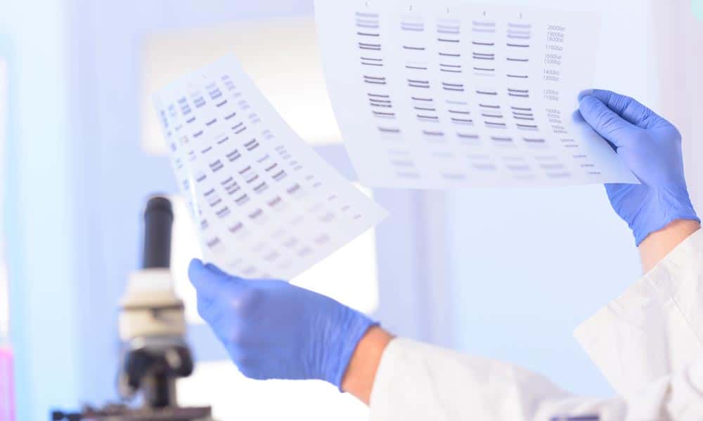 lab technician with blue gloves analyzing dna information